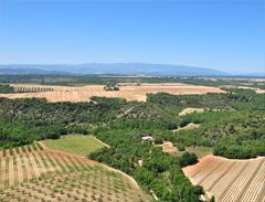 Mas de Trotte-Vache - Plateau de Valensole