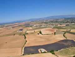 Plateau de Valensole