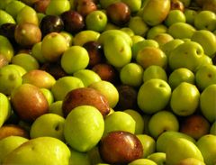Mas de Trotte-Vache - Olives