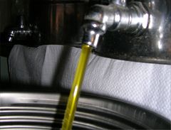 Mas de Trotte-Vache - Huile d'olive en fûts inox