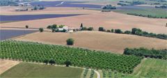 Mas de Trotte-Vache - Vue du ciel - Plateau de Valensole