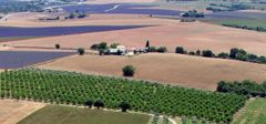 Mas de Trotte-Vache - Vue du ciel - Plateau de Valensole